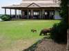 Mweya Safari Lodge - Garden 